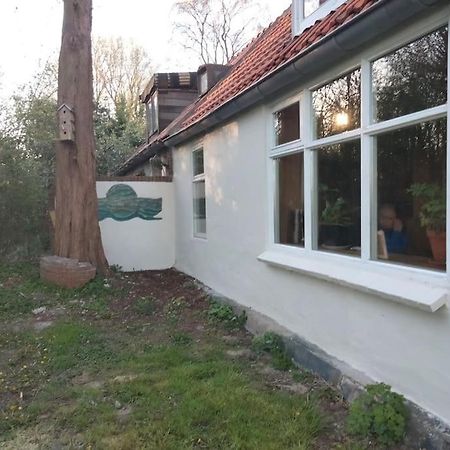 Villa Vogelvrij Vierhuizen Esterno foto