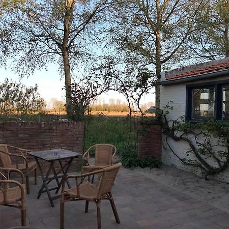 Villa Vogelvrij Vierhuizen Esterno foto