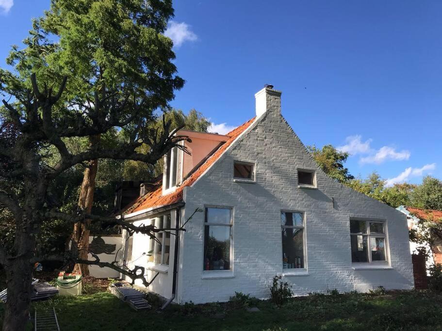 Villa Vogelvrij Vierhuizen Esterno foto
