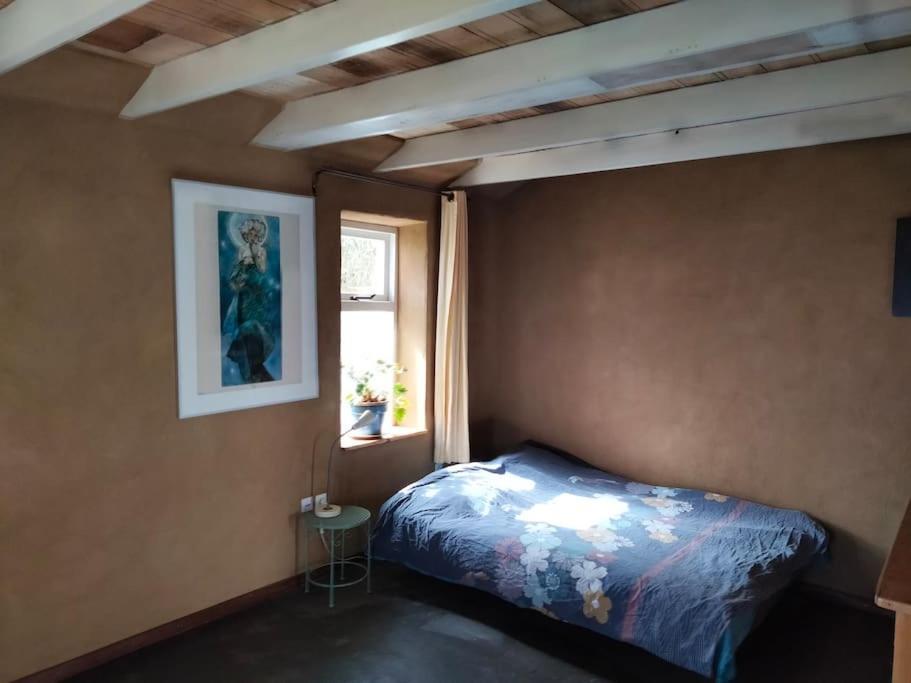 Villa Vogelvrij Vierhuizen Esterno foto