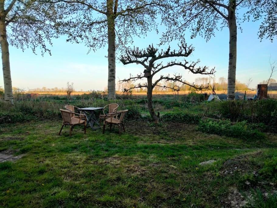 Villa Vogelvrij Vierhuizen Esterno foto