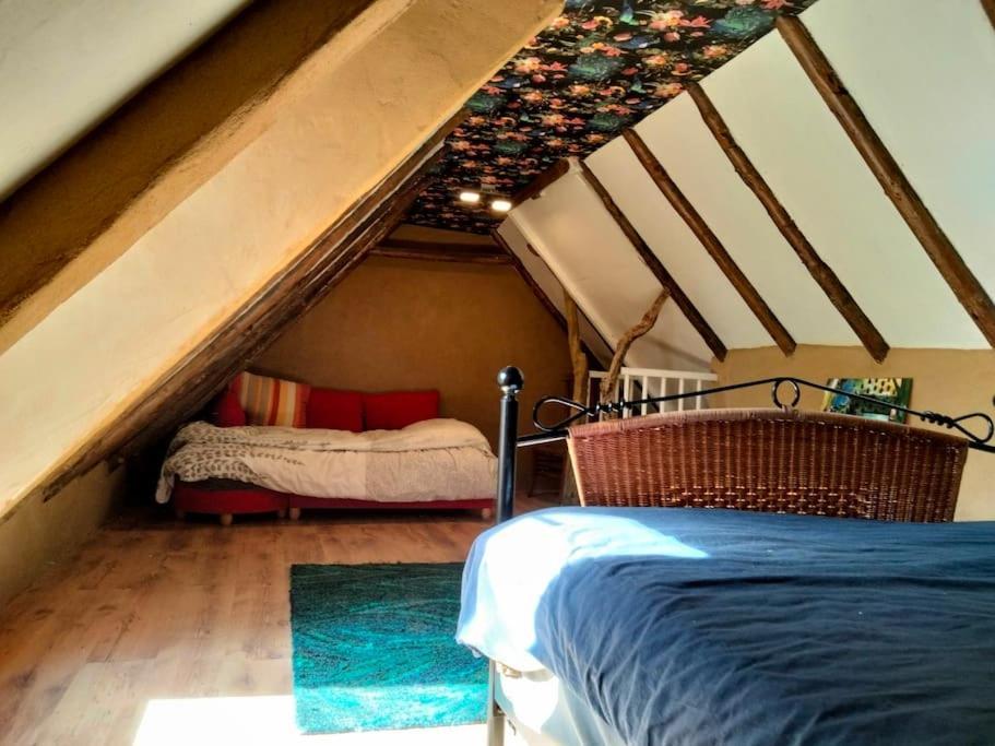 Villa Vogelvrij Vierhuizen Esterno foto