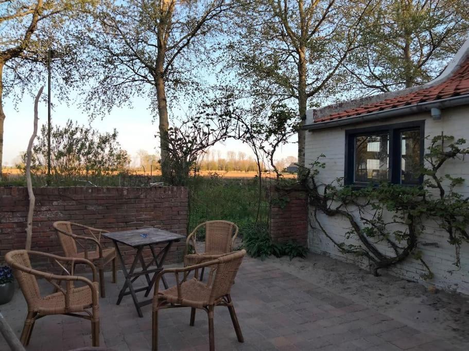 Villa Vogelvrij Vierhuizen Esterno foto